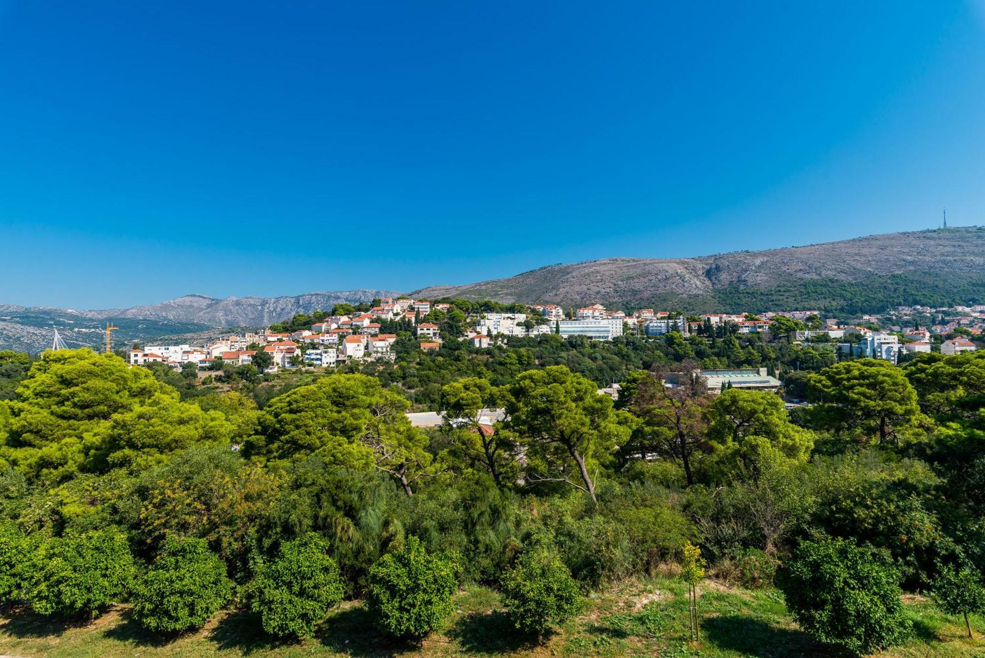 Apartment Luni